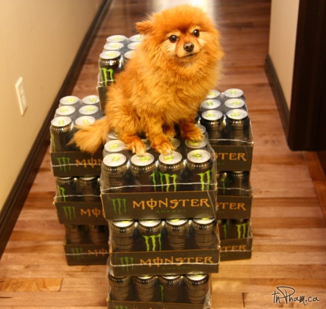 energy drinks monster. Monster Energy Drinks